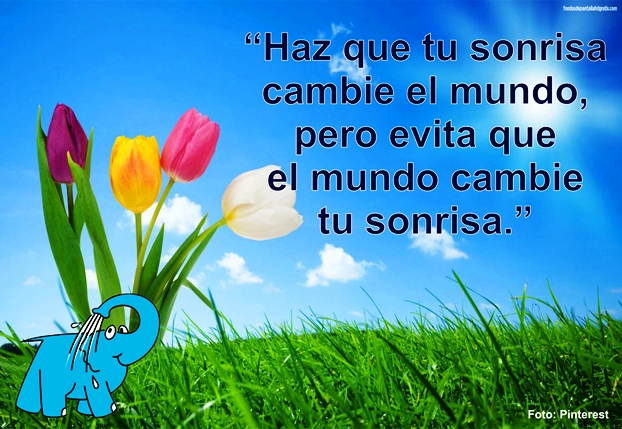 Una Enseñanza sobre La Actitud Positiva en la Frase del Día del Centro de lavado de coches Elefante Azul de Avilés